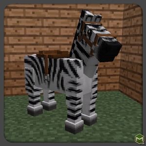 Meet your Posher, Christian